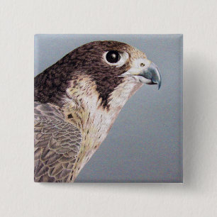 Badge Carré 5 Cm Faucon pérégrin