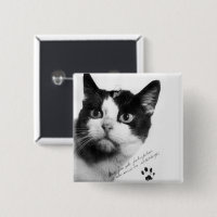 Félicette : Le premier chat dans l'espace