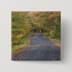 Badge Carré 5 Cm Feuillage d'automne au bord de la route, Southern 