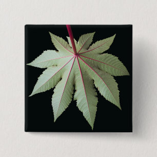 Badge Carré 5 Cm Feuille et tige