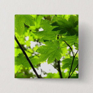 Badge Carré 5 Cm Feuilles d'érable avec Raindrops