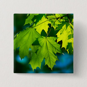 Badge Carré 5 Cm Feuilles d'érable vert frais
