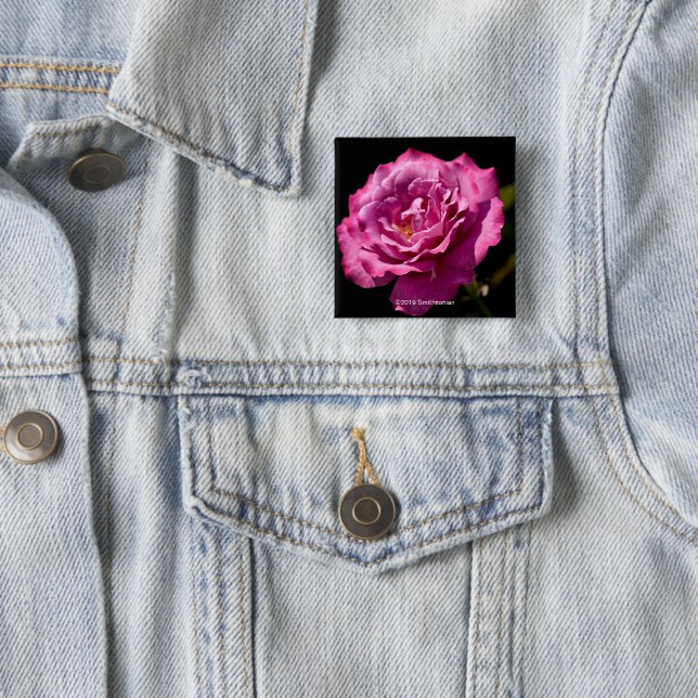 Badge Carré 5 Cm -Fin rose de visage d'ange (En situation)