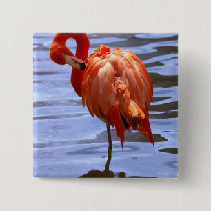 Badge Carré 5 Cm Flamant sur une jambe dans l'eau