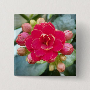 Badge Carré 5 Cm Fleur de Kalanchoe
