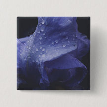Fleur Rose violet