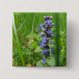 Badge Carré 5 Cm Fleur sauvage de Skullcap Violet