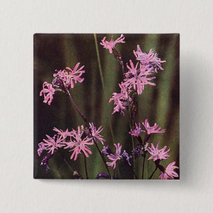 Badge Carré 5 Cm Fleur sauvage : Robin dallé