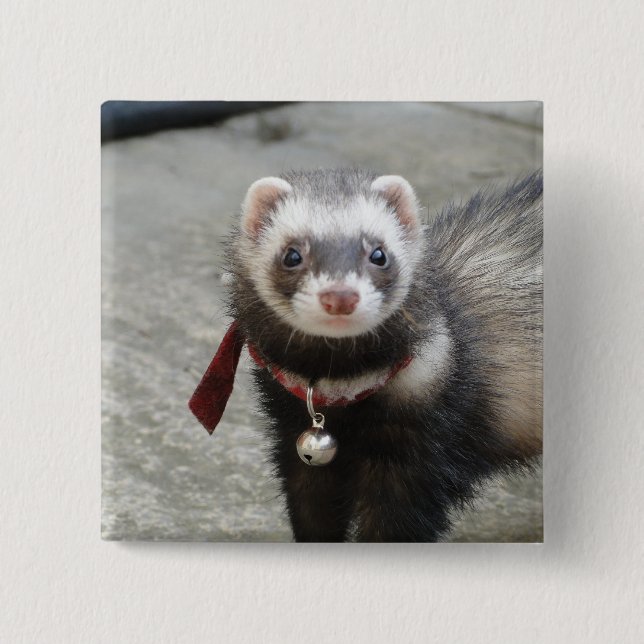 Badge Carré 5 Cm Furet (Devant)