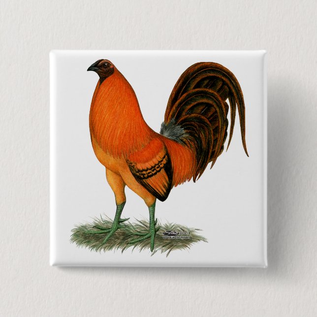 Badge Carré 5 Cm Gamecock Ginger (Devant)