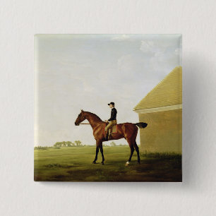 Badge Carré 5 Cm Gazon, c.1765 (huile sur la toile) (voyez 152743)