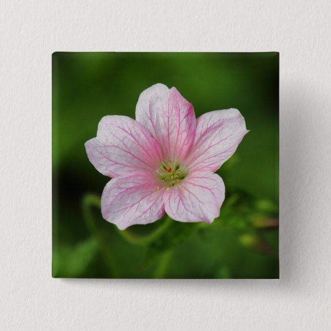 Badge Carré 5 Cm Géranium (Devant)