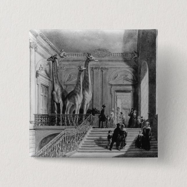 Badge Carré 5 Cm Girafes sur l'escalier dans les Anglais (Devant)