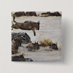 Badge Carré 5 Cm Gnou sautant dans la rivière Mara