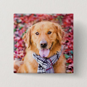 Badge Carré 5 Cm Golden Retriever In Scarf