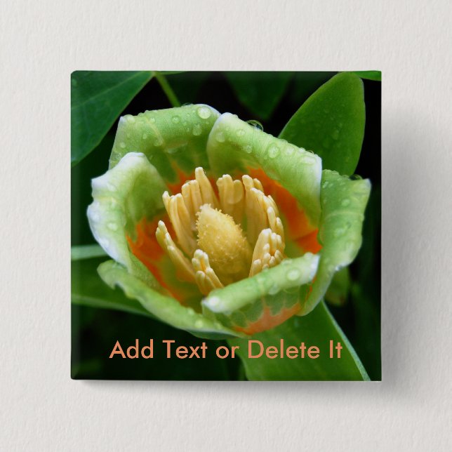 Badge Carré 5 Cm Goupille de tulipe d'arbre de peuplier (Devant)