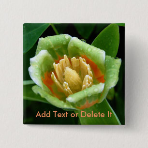 Badge Carré 5 Cm Goupille de tulipe d'arbre de peuplier