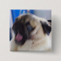goupille excited de puggo