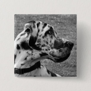 BADGE CARRÉ 5 CM GRAND DANE