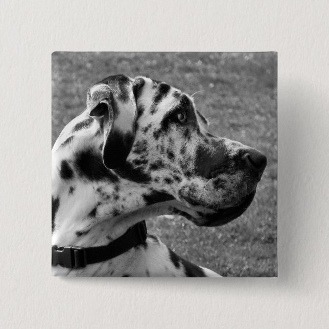 BADGE CARRÉ 5 CM GRAND DANE (Devant)