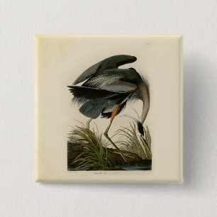 Badge Carré 5 Cm Grand Héron bleu d'Audubon Marais Oiseau