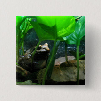 Badge Carré 5 Cm Grenouille