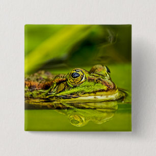 Badge Carré 5 Cm grenouille à eau