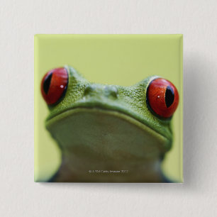 Badge Carré 5 Cm Grenouille d'arbre aux yeux rouges (callidryas