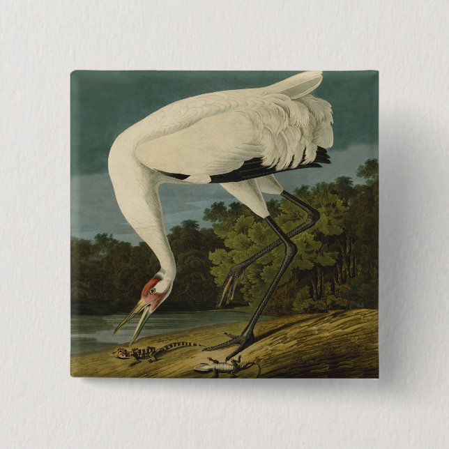 Badge Carré 5 Cm Grue blanche Audubon Peinture d'oiseaux (Devant)