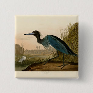 Badge Carré 5 Cm Grue Bleue Heron Audubon Peinture