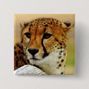 Badge Carré 5 Cm Guépard