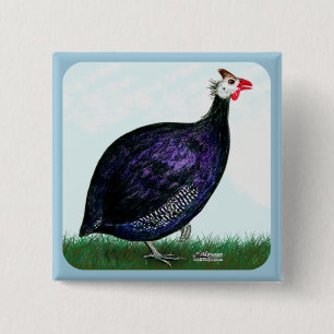 Badge Carré 5 Cm Guinée Royal Purple et Sky