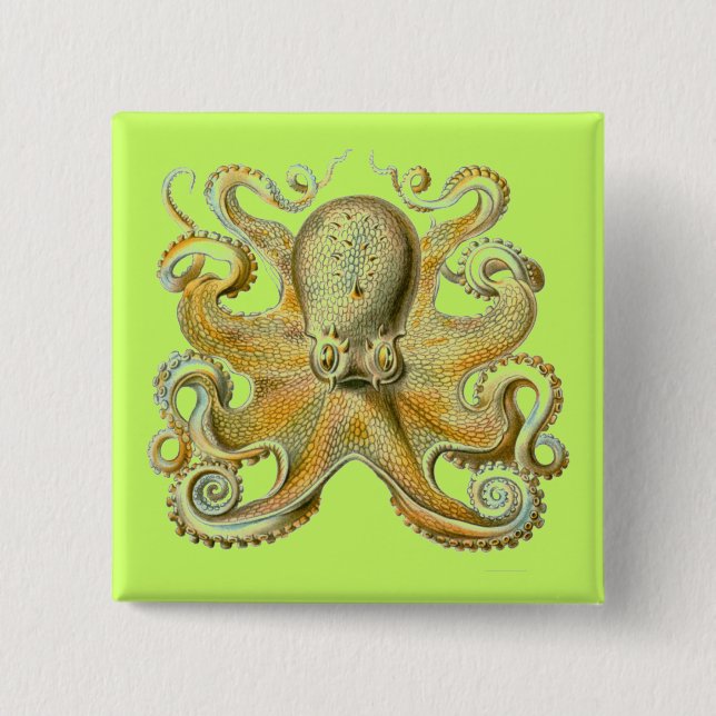 Badge Carré 5 Cm Haeckel Octopus (Devant)