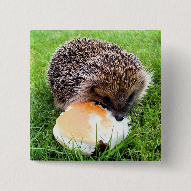 BADGE CARRÉ 5 CM HÉDGEHOG (Devant)