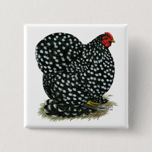 Badge Carré 5 Cm Hen Cochin Bouché