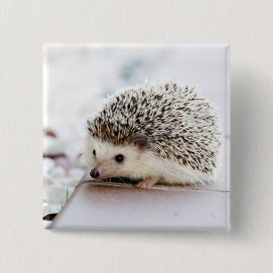 Badge Carré 5 Cm Hérisson bébé