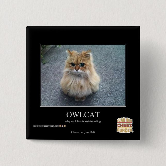 Badge Carré 5 Cm Hibou (Devant)