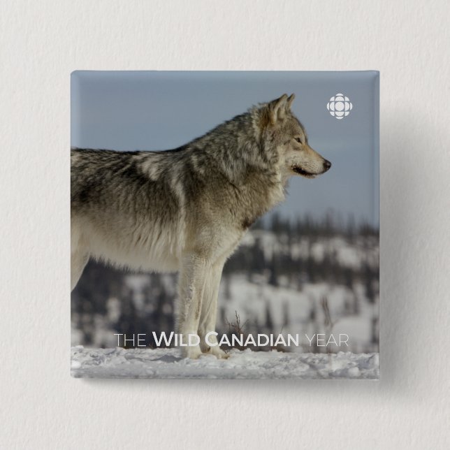 Badge Carré 5 Cm Hiver - Loup (Devant)