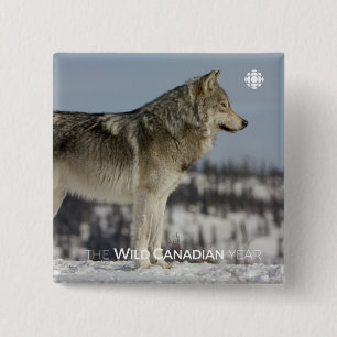 Badge Carré 5 Cm Hiver - Loup