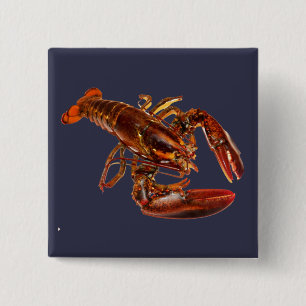 Badge Carré 5 Cm Homard