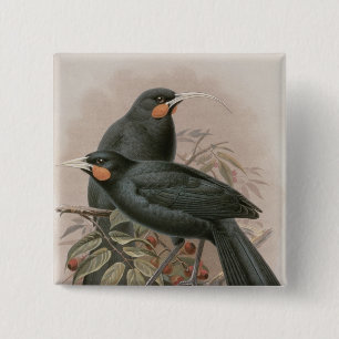 Badge Carré 5 Cm Huia