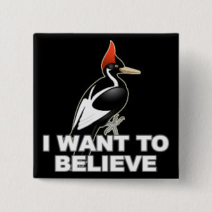 Badge Carré 5 Cm IBWO : Je veux croire