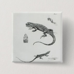 Badge Carré 5 Cm Iguane décalé