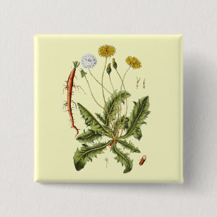 Badge Carré 5 Cm Illustration de pissenlit vintage