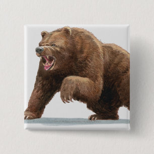 Badge Carré 5 Cm Illustration d'un ours Brown
