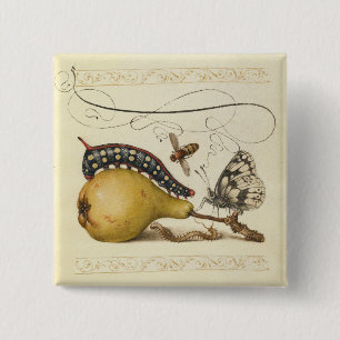 Badge Carré 5 Cm Illustration Papillon Abeille Fruit Insecte