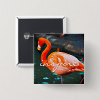 Inspirer Script Flamant rose rose Photo Moderne De