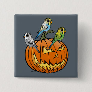Badge Carré 5 Cm Jack O'Budgies