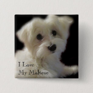 Badge Carré 5 Cm J'aime mon bouton maltais