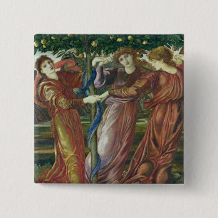 Badge Carré 5 Cm Jardin du Hesperides, 1869-73